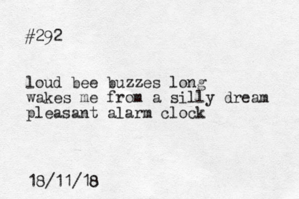 #292 loud bee buzzes long wakes me from a silly dream pleasant alarm clock 18/11/18