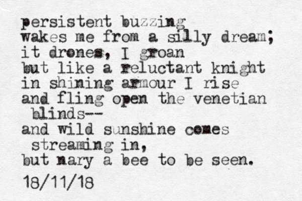 persistent buzzing wakes me from a silly dream; it drones, I groan but like a reluctant knight in shining armour I rise and fling open the venetian blinds-- and wild sunshine comes streaming in, but nary a bee to be seen. 18/11/18