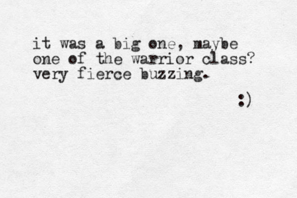 it was a big one, maybe one of the warrior class? very fierce buzzing. :) 