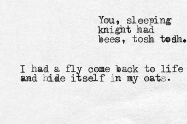 You, sleeping knight had bees, tosh tod sh... I had a fly come back to life and hide itself in my oats. 
