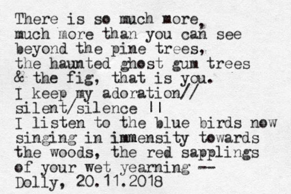 There is so much more much more than you can see beyond the pine trees, the haunted ghost gum trees & the fig, that is you. I keep my adoration// silent/silence || I listen to the blue birds now singing in imm immensity towards the woods, the red sapplings of your wet yearning -- Dolly, 20.11.2018 , 