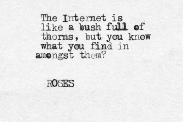 The Internet is like a bush full of thorns, but you know what you find in mongst a them? ROSES