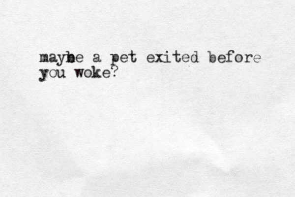mayne b b a pet exited before you woke?