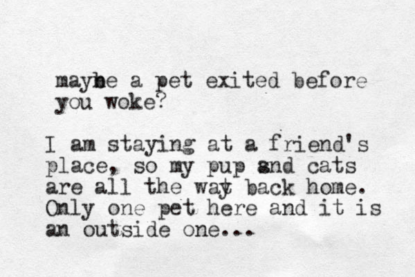 mayne b b a pet exited before you woke? I am staying at a friend's place, so my pup s and cats are all the wat y back home. Only one pet here and it is an outside one...