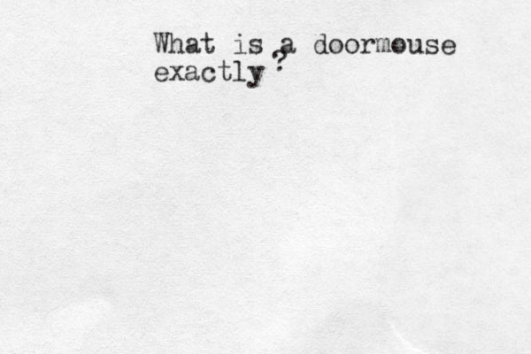 What is a doormouse exactly ?