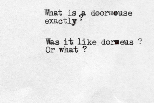 What is a doormouse exactly ? Was it like dormeus ? Or what ?