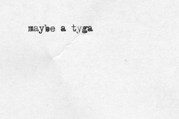 maybe a tyga