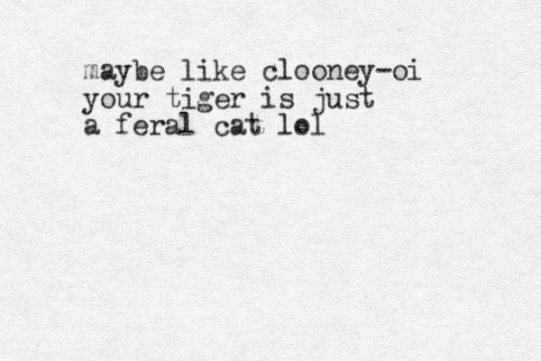maybe like clooney-oi your tiger is just a feral cat lol