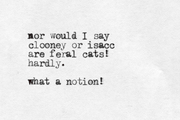 nor would I say clooney or isacc are feral cats! hardly. what a notion!