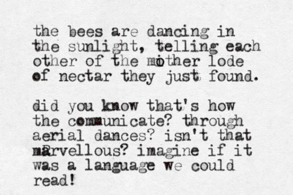 the bees are dancing in the sunlight, telling each other of the mither o o lode of nectar they just found. did you know that's how the communicate? through aerial dances? isn't that mR a arvellous? imagine if it was a language we could read! 