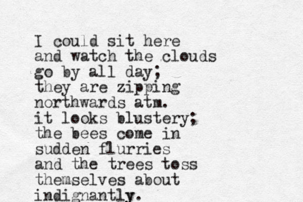 I could sit here and watch the clouds go by all day; they are zipping z northwards atm. it looks blustery; the bees come in sudden flurries and the trees toss themselves about indignantly y. 