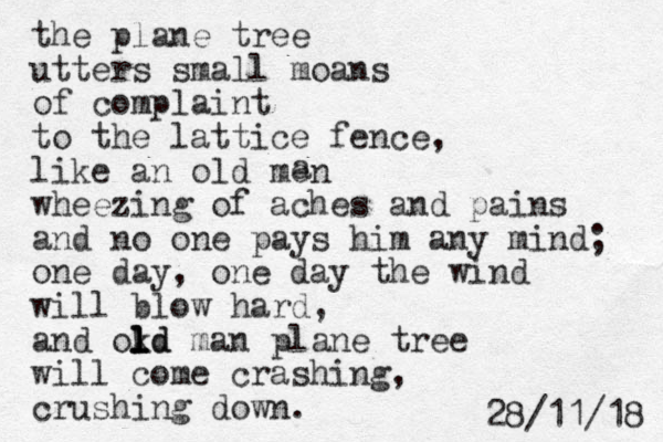 the plane tree utters small moans of complaint to the lattice fence, like an old men wheezing of aches and pains and no one pays him any mind; one day, one day the wind will blow hard, and okd l l l ld man plane tree will come crashing , crushing down. a 8 1 / 1 1 / 8 2 