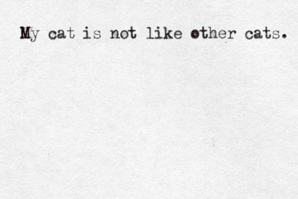 My cat is not like other cats. 