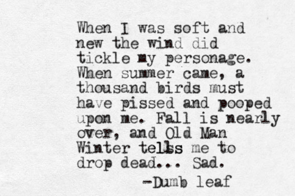 When I was soft and new the wind did tickle my personage. When summer came, a thousand birds must have pissed and pooped upon me. Fall is nearly over, and Old Man Winter telss ells me to drop dead... Sad. -Dumb leaf 