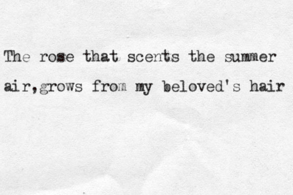 The rose that scents the summer air,grows from my beloved's hair 