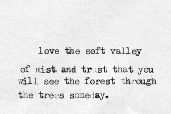 love the soft valley of mist and trust that you will see the forest through the trees someday. 