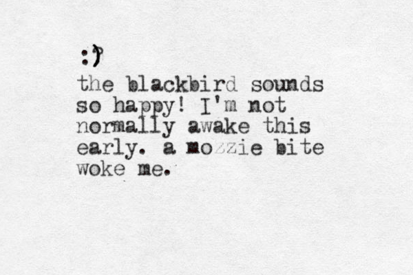 the blackbird sounds so happy! I'm not normally awake this early. a mozzie bite woke me. :? ) ) ) 