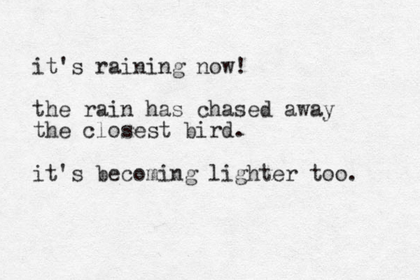 it's raining now! the rain has chased away the closest bird. it's becoming lighter too. 