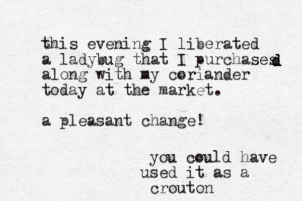 this evening I liberated a lady u b g that I purchases along with my coriander today at the market. a pleasant change! d d d you could have used it as a crouton