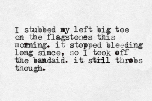 I stubbed my left big toe on the flagstones this morning. it stopped bleeding long since, so I took off the bandaid. it stri il ill throbs though.