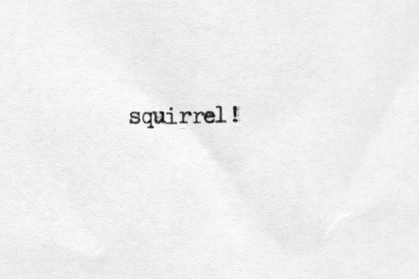 squirrel!