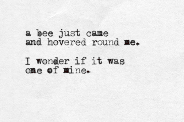 a bee just came and hovered round me. I wonder if it was one of mine.