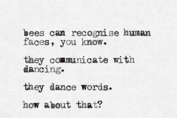 bees can recognise human faces, you know. they communicate with dancing. they dance words. how about that?