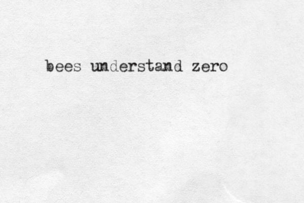 bees understand zero 