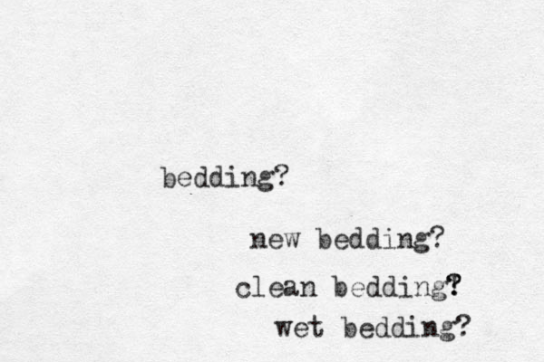 bedding? new bedding? clean bedding! ? ? wet bedding? 