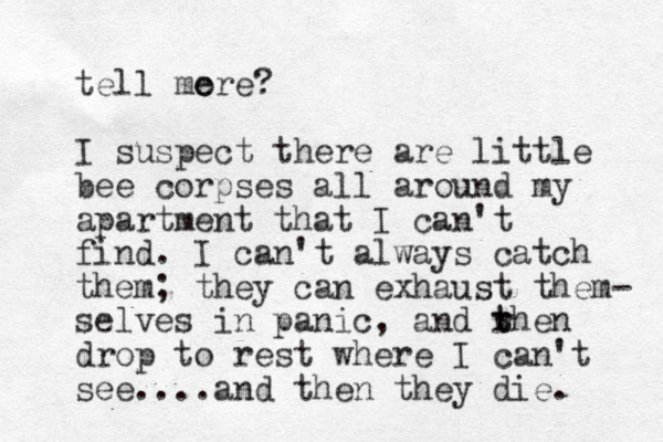 tell me ore? I suspect there are little bee corpses all around my apartment that I can't find. I can't always catch them; they can exhaust them- selves in panic, and rhe t t n drop to rest where I can't see....and then they die. 