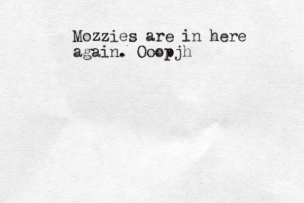 Mozzies are in here again. Ooopjh