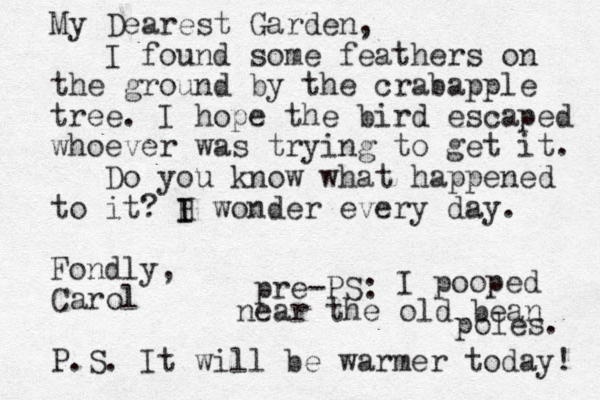 My Dearest Garden, I found some feathers on the ground by the crabapple tree. I hope the bird escaped whoever was trying to get it. Do you know what happened to it? H I I wonder every day. Fondly, Carol P.S. It will be warmer today! pre-PS: I pooped near the old bean poles. 