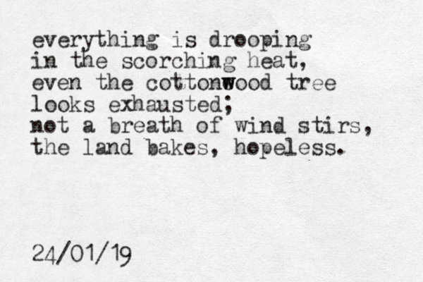 everything is drooping in the scorching heat, even the cottone w wood tree looks exhausted; not a breath of wind stirs, the land bakes, hopeless. 24/01/19