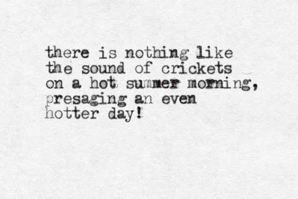 there is nothing like the sound of crickets on a hot summer morning, presaging an even hotter day!