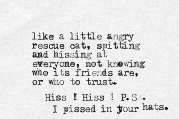 like a little angry rescue cat, spitting and hissing at everyone, not knowing who its friends are, or who to trust. Hiss ! Hiss ! P.Sz. I pissed in tour y hats. 