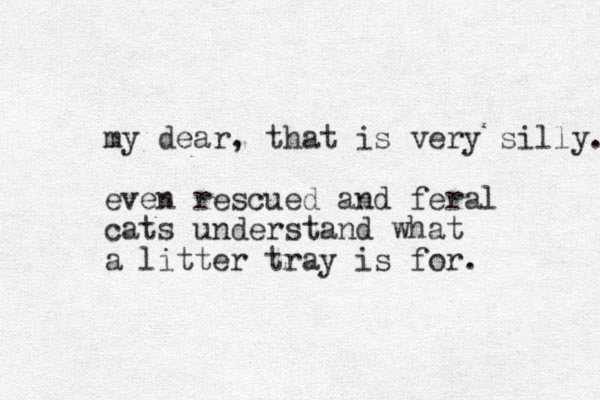 my dear, that is very silly. even rescued and feral cats understand what a litter tray is for. 