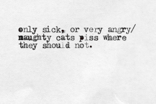 only sick, or very angry/ m naughty cats piss where they should not.