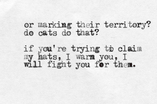 or marking their territory? do cats do that? if you're trying ti o claim my hats, I warm n you, I will fight you for them. 
