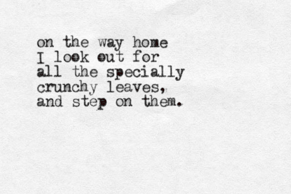 on the way home I look out for all the specially crunchy leaves, and step on them.