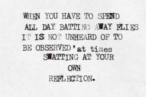 WHEN YOU HAVE TO SPEND ALL DAY BATTING AWAY FLIES IT IS NOT UNHEARD OF TO BE OBSERVED SWATTING AT YOUR OWN REFLECTION. , at times 
