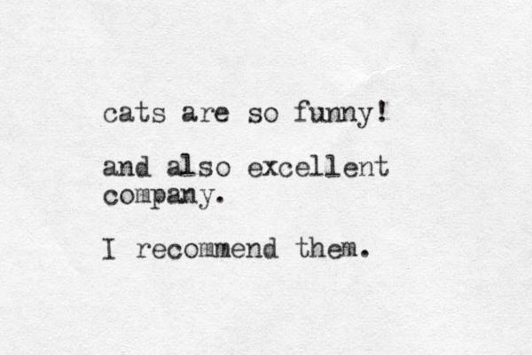 cats are so funny! and also excellent company. I recommend them. 