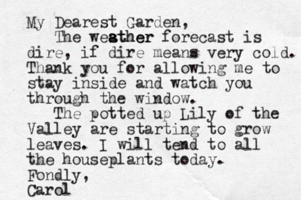 My Dearest Garden, The westher a ather forecast is dire, if dire means very cold. Thank you for allowing me to stay inside and watch you through the window. The potted up Lily of the Valley are starting to grow leaves. I will tend to all the houseplants today. Fondly, Carol
