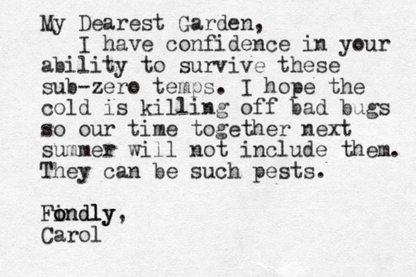 My Dearest Garden, I have confidence in your ability to survive these sub-zero temps. I hope the cold is killing off bad bugs so our time together next summer will not include them. They can be such pests. Findly o o ondly, Carol 