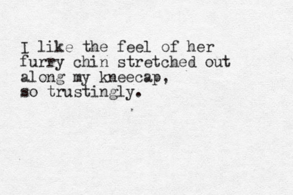 I like the feel of her furry chin stretched out along my kneecap, so trustingly.