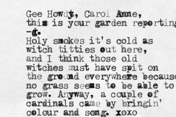 Gee Howdt y y, Carol Anne, this is your garden reporting -d g g. Holy smokes it's cold as witch titties out here, and I think those old witches must have spit on the ground everywhere because no grass seems to be able to grow. Anyway, a couple of cardinals came by bringin' colour and song. xoxo