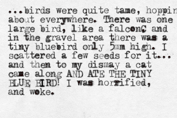 ...birds were quite tame, hopping about everywhere. There was one large bird, like a falconC , and in the gravel area there was a tiny bluebird only 5mm high. I scattered a few seeds for it... and the n to my dismay a cat came along AND ATE THE TINY BLUE BIRD I I ! I was horrified, and woke.