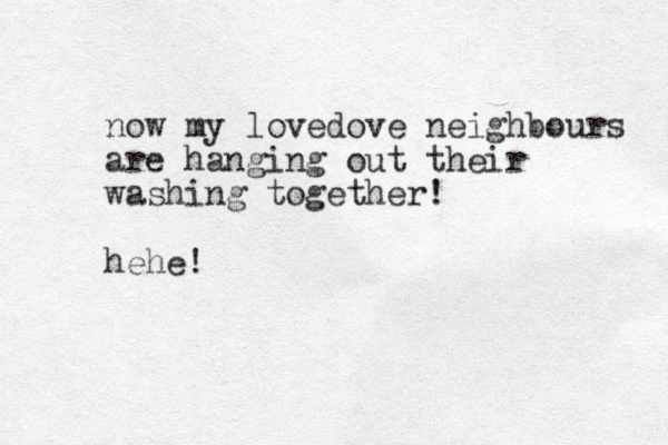 now my lovedove neighbours are hanging out their washing together! hehe!