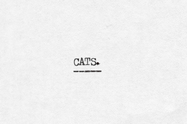 CATS. -----