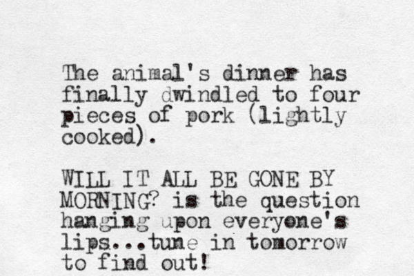 The animal's dinner has finally dwindled to four pieces of pork (lightly cooked). WILL IT ALL BE GONE BY MORNING? is the question hanging upon everyone's lips...tune in tomorrow to find out!