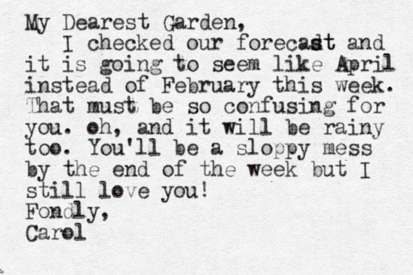 My Dearest Garden, I checked our forecadt s st and it is going to seem like April instead of February this week. That must be so confusing for you. oh, and it will be rainy too. You'll be a sloppy mess by the end of the week but I still love you! Fondly, Carol